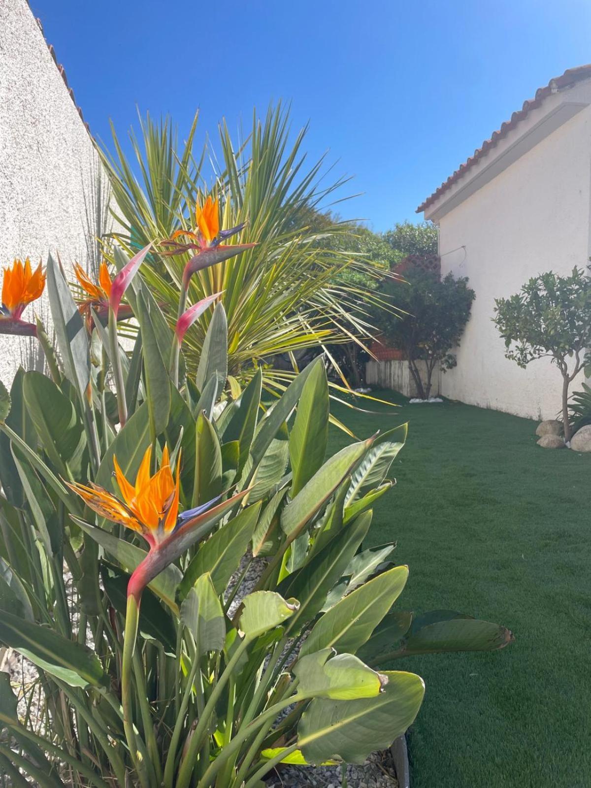 Belle Villa Classee 4 Etoiles Proche Plage Avec Jardin Saint-Cyprien  Zewnętrze zdjęcie