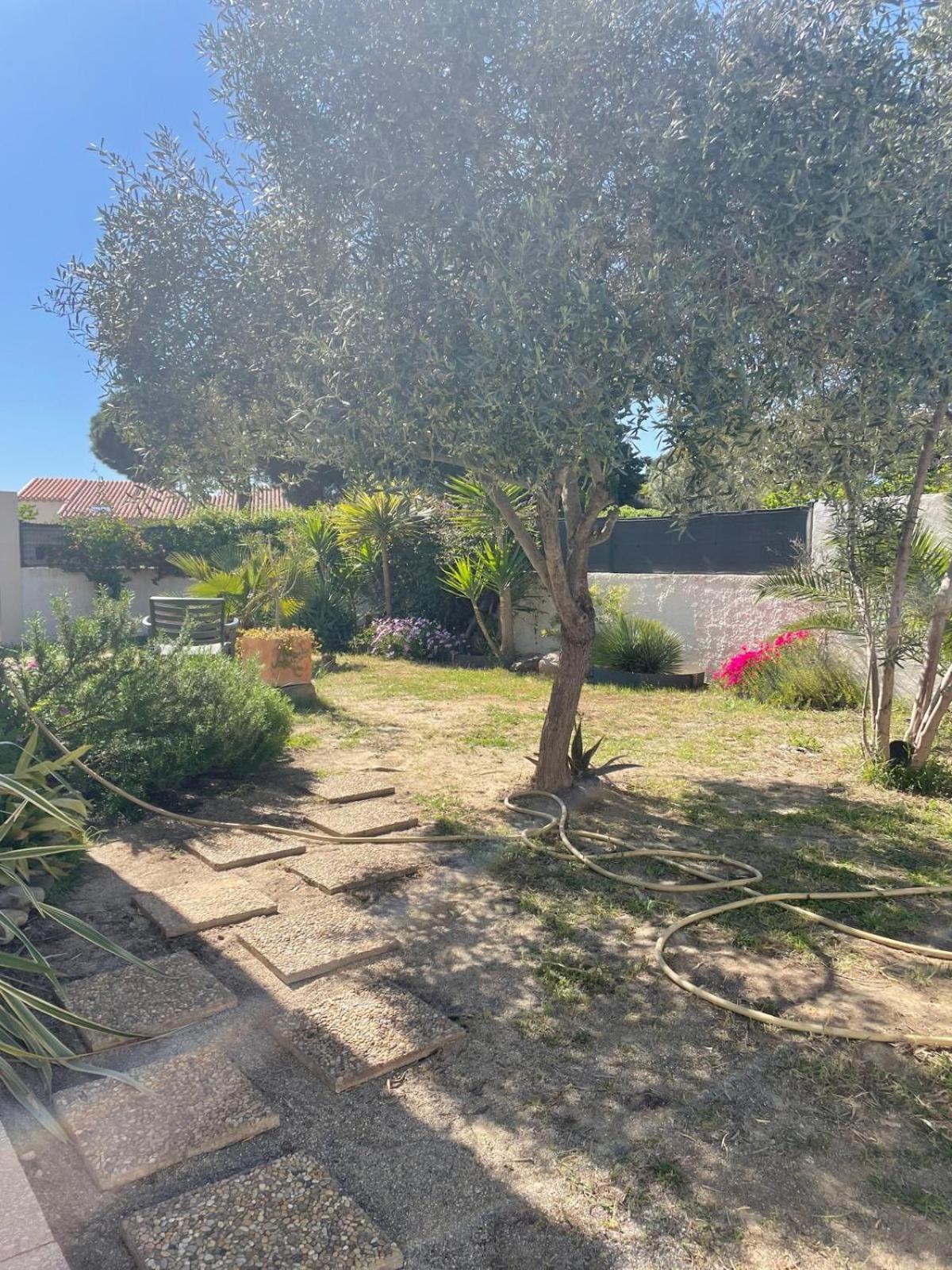 Belle Villa Classee 4 Etoiles Proche Plage Avec Jardin Saint-Cyprien  Zewnętrze zdjęcie